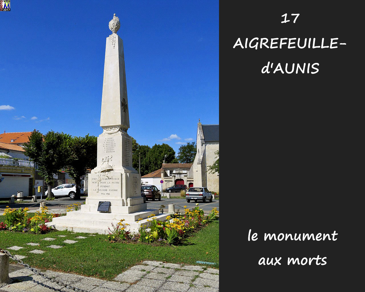 17AIGREFEUILLE_morts_1000.jpg