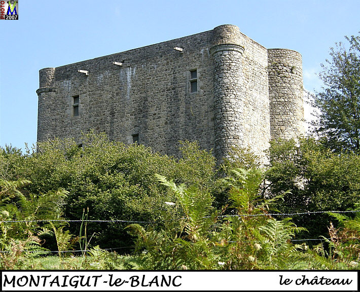 23MONTAIGUT-BLANC_chateau_100.jpg