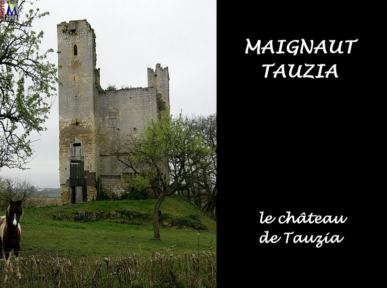 32MAIGNAUT-TAUZIA_chateau_102.jpg