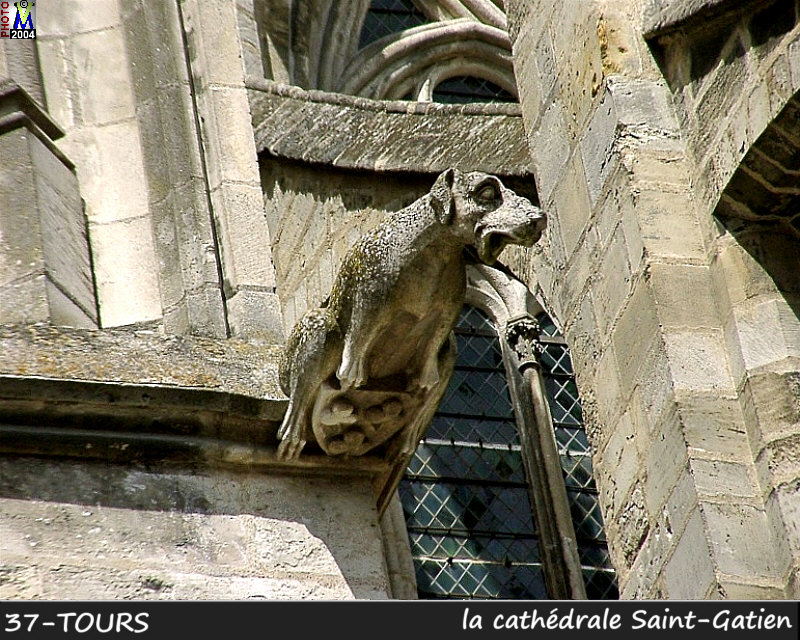 37TOURS_cathedrale_032.jpg