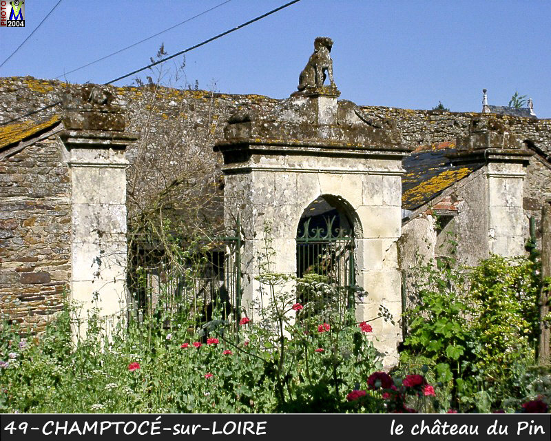 49CHAMPTOCE-LOIRE_chateauPin_106.jpg