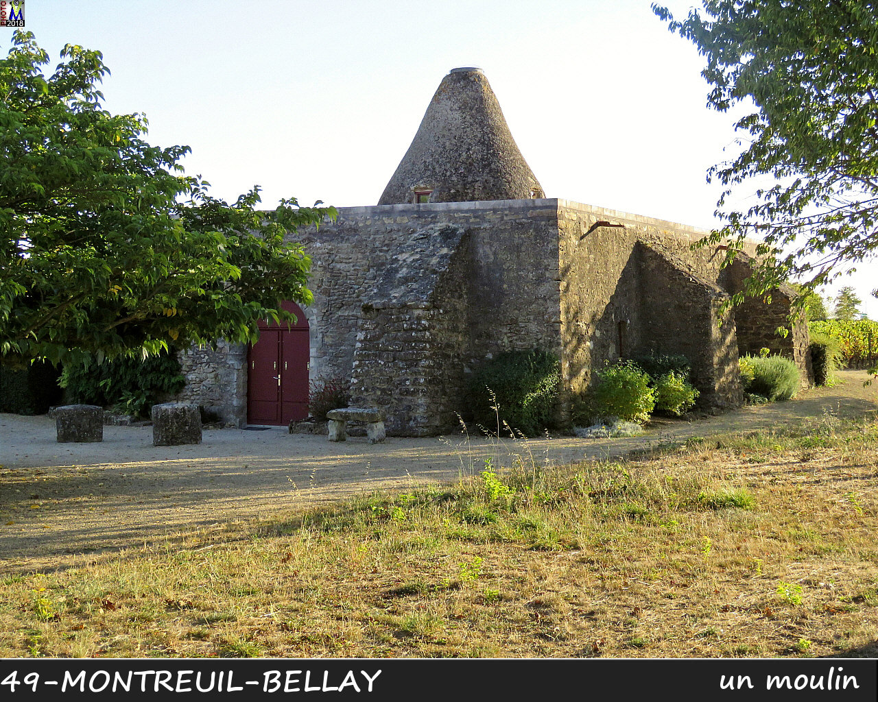 49MONTREUIL-BELLAY_moulin_1110.jpg
