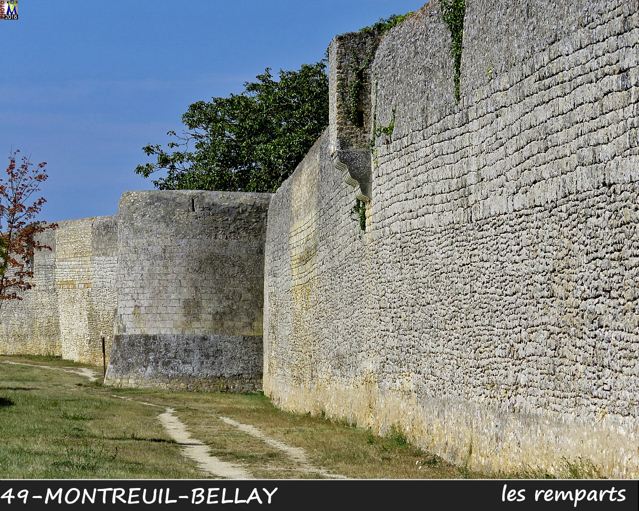 49MONTREUIL-BELLAY_remparts_1004.jpg