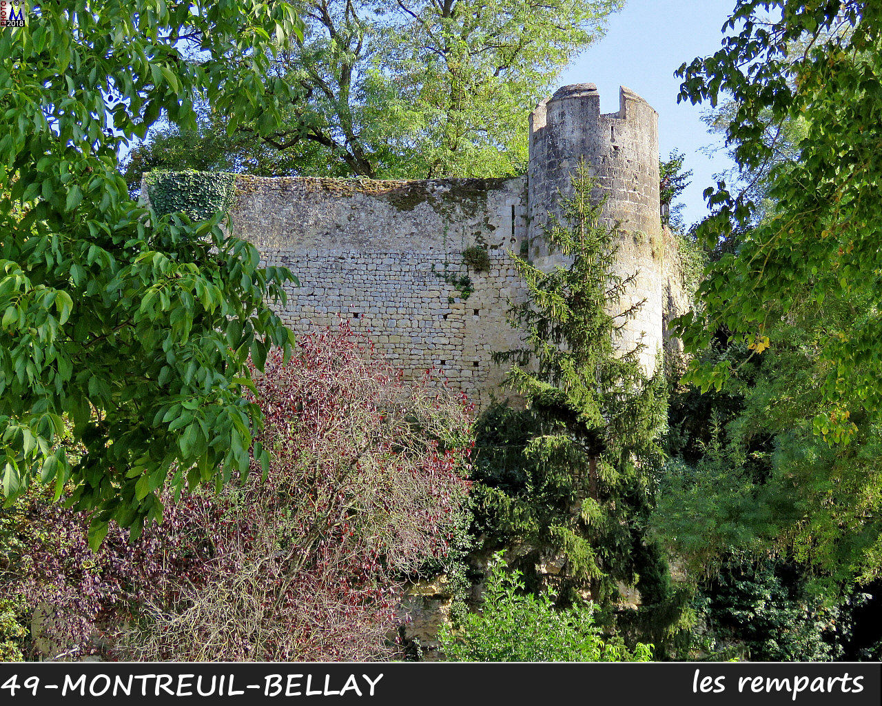 49MONTREUIL-BELLAY_remparts_1024.jpg