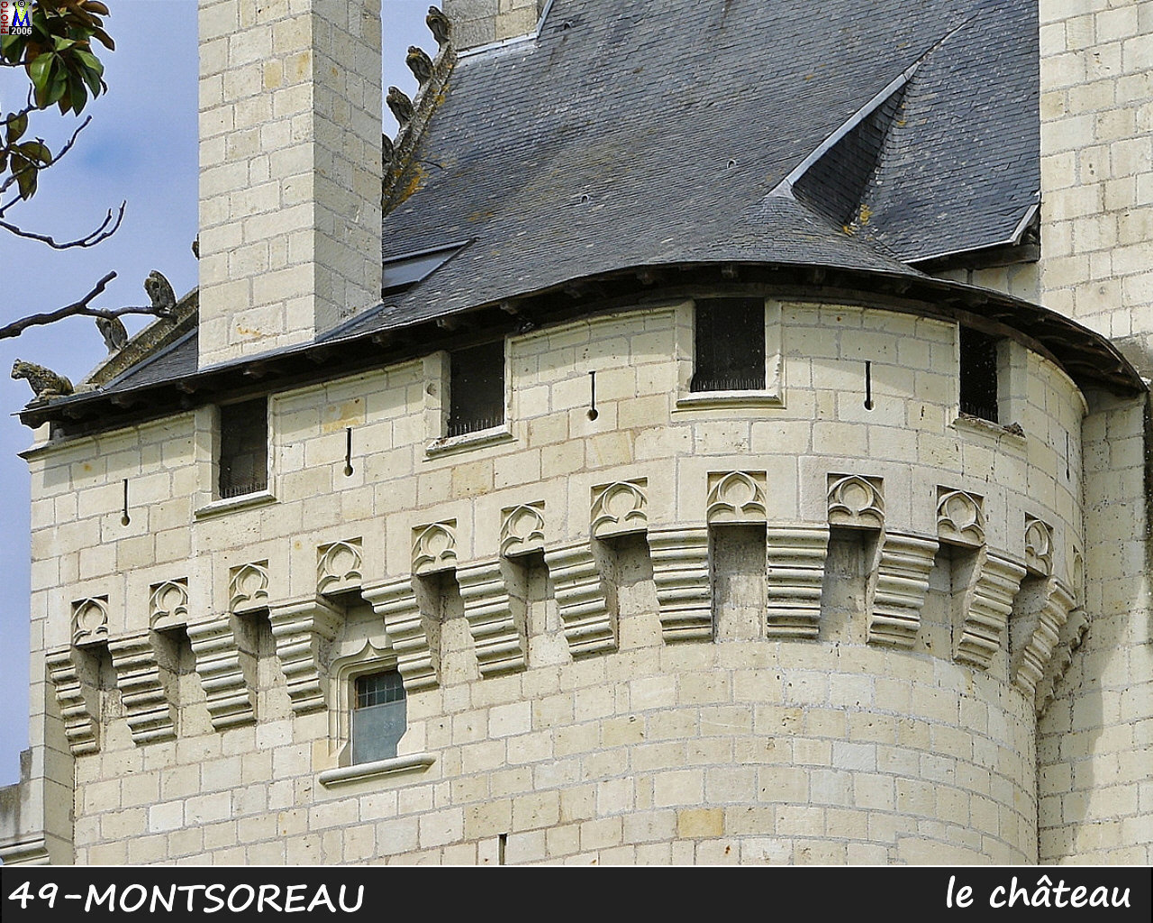 49MONTSOREAU_chateau_114.jpg