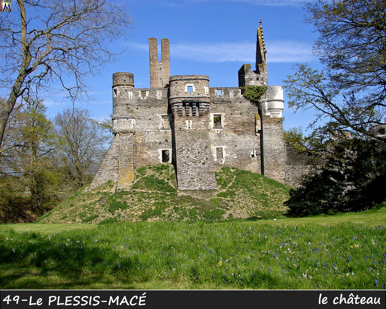 49PLESSIS-MACE_chateau_102.jpg