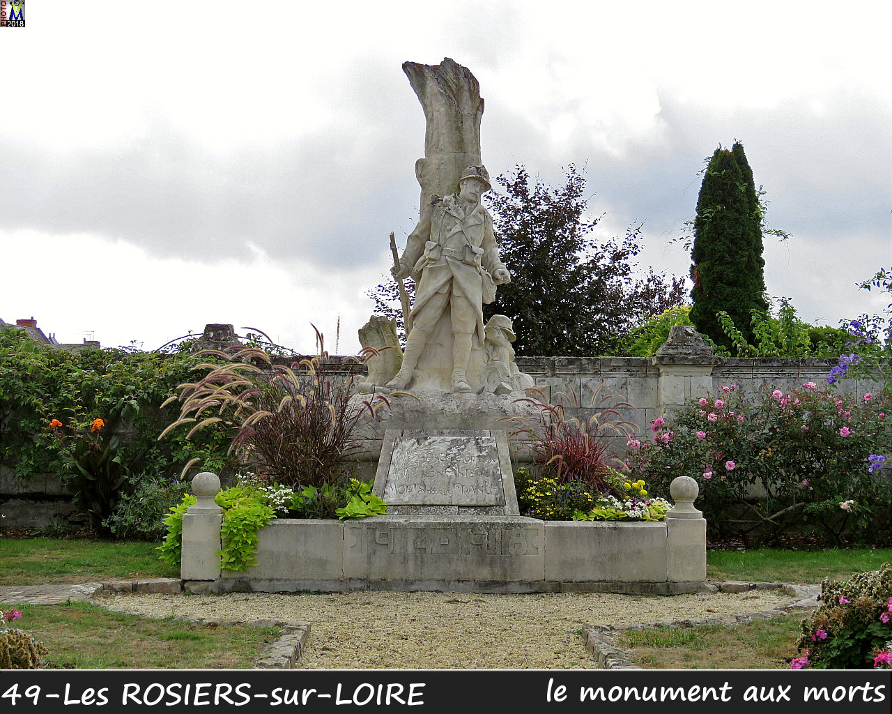 49ROSIERS-LOIRE_morts_1000.jpg