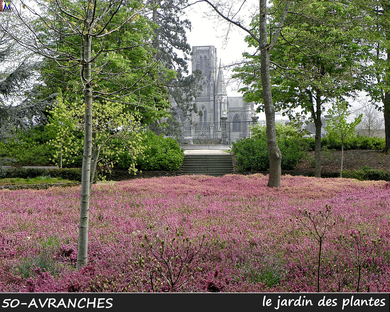 50AVRANCHES_jardin_104.jpg