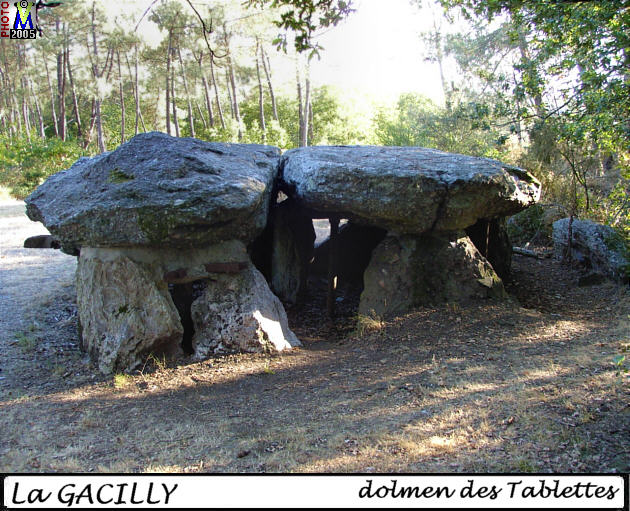 56GACILLY_dolmen_100.jpg