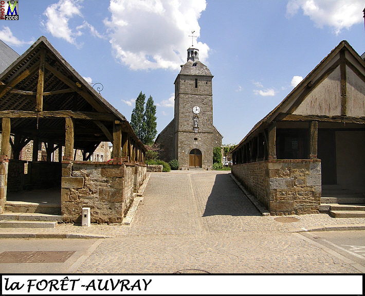 61FORET-AUVRAY_100.jpg