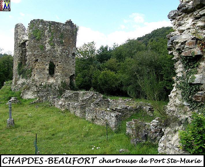 63CHAPDES-BEAUFORT_chartreuse_106.jpg