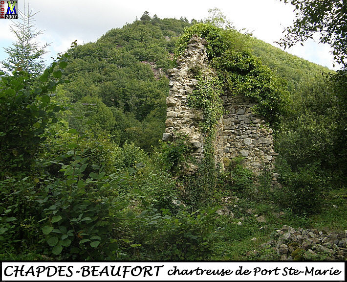 63CHAPDES-BEAUFORT_chartreuse_110.jpg
