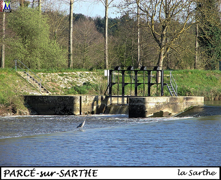 72PARCE-SARTHE_sarthe_106.jpg