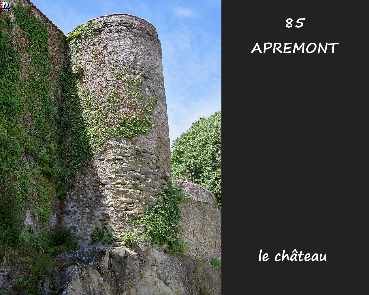 85APREMONT_chateau_1036.jpg