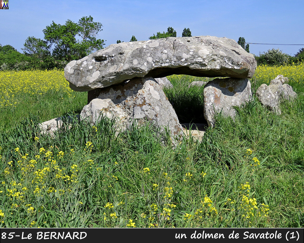 85BERNARD_dolmen_1100.jpg