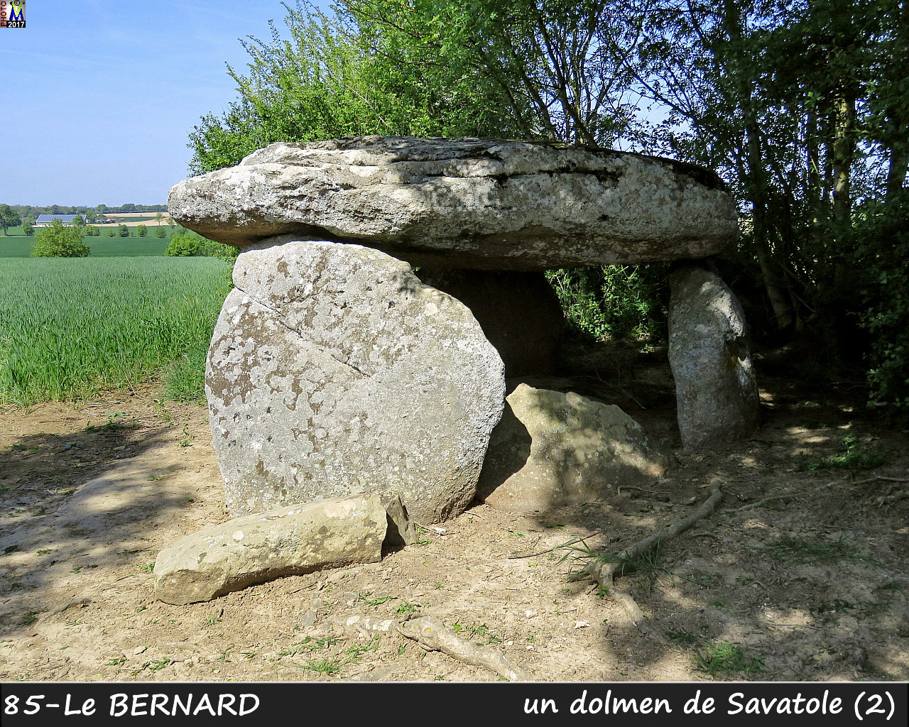 85BERNARD_dolmen_1110.jpg