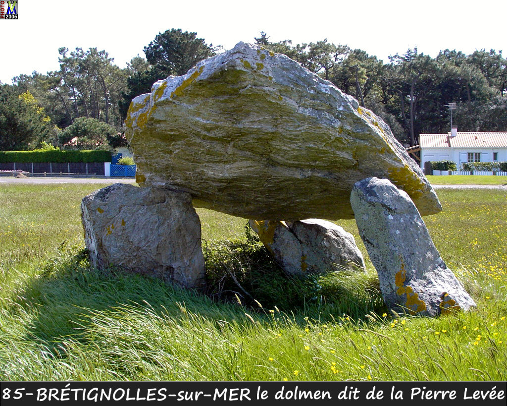 85BRETIGNOLLES-MER_dolmen_102.jpg