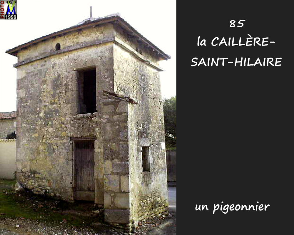85CAILLERE-StHILAIRE_fuie_100.jpg