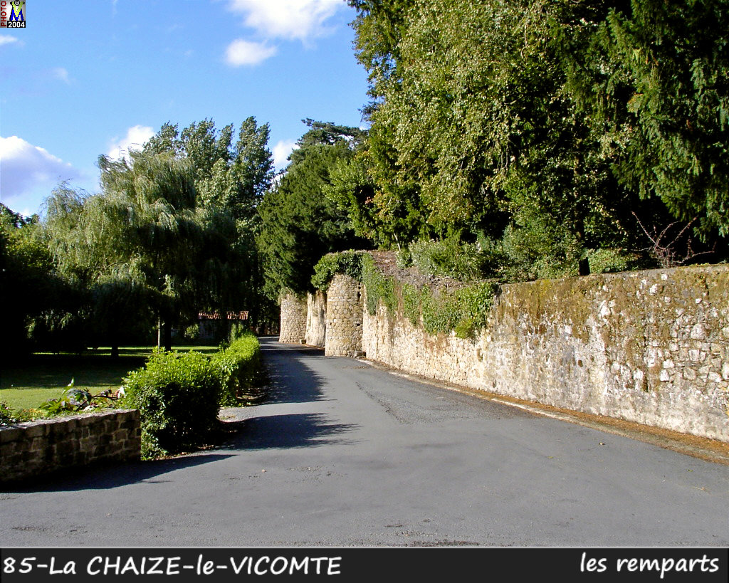 85CHAIZE-VICOMTE_chateau_102.jpg