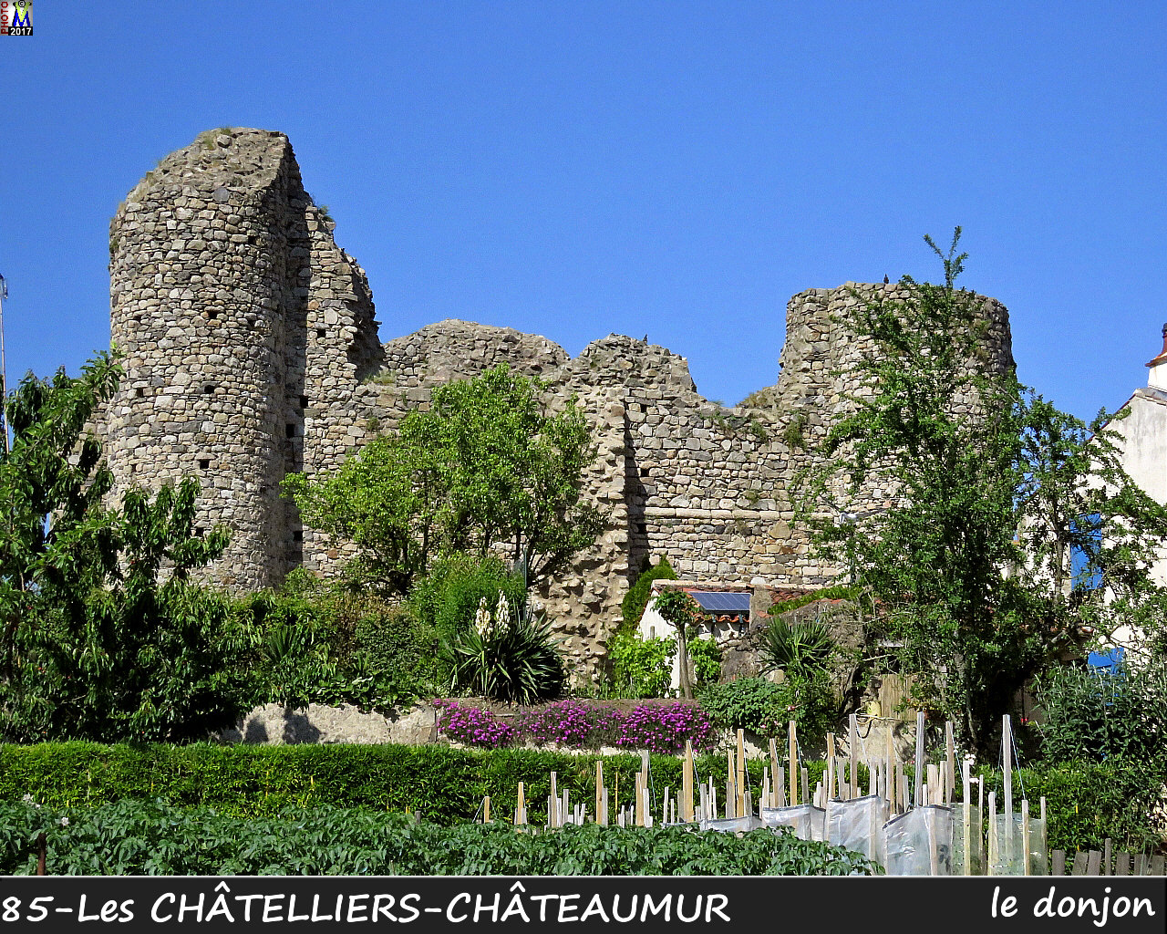 85CHATELLIERS-CHATEAUMUR_chateau_1008.jpg