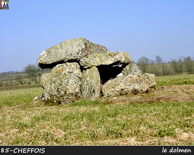 85CHEFFOIS_dolmen_102.jpg