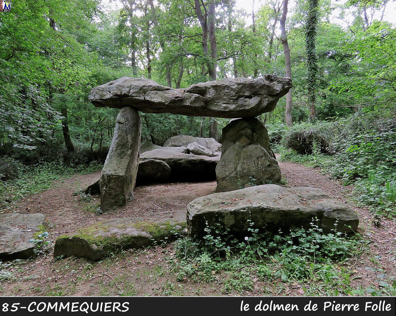 85COMMEQUIERS_dolmen_1000.jpg