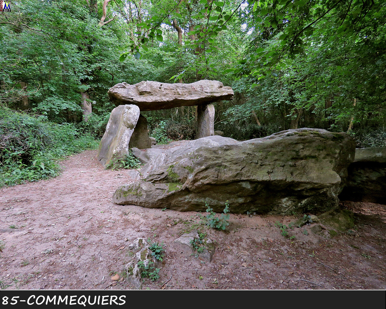 85COMMEQUIERS_dolmen_1002.jpg