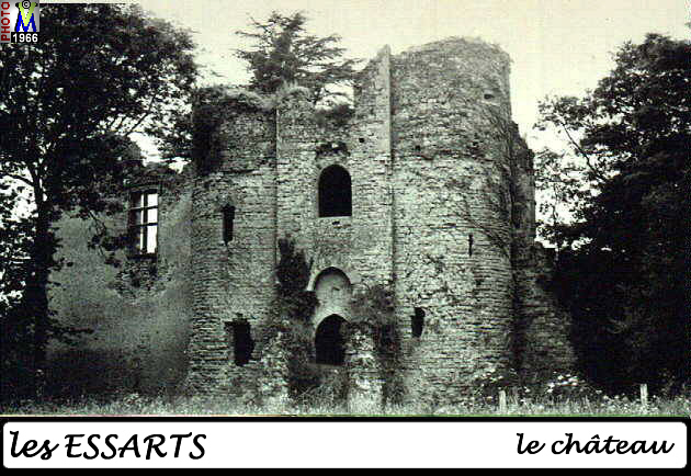 85ESSARTS_chateau_104.jpg