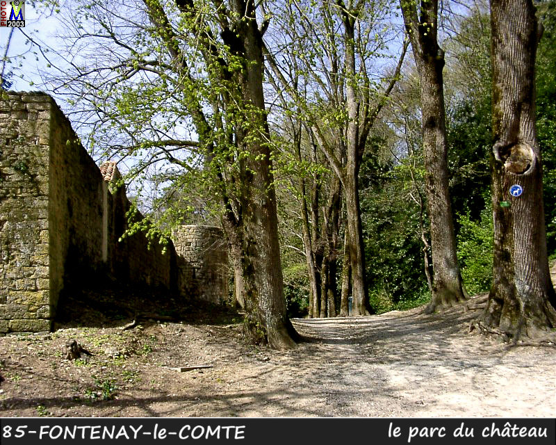85FONTENAY-COMTE_chateau1_104.jpg