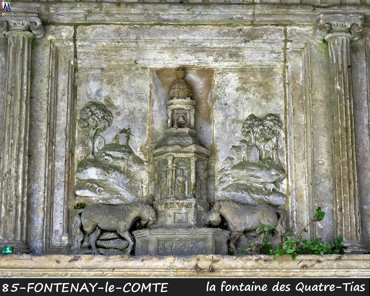 85FONTENAY-COMTE_fontaine4Tias_1004.jpg