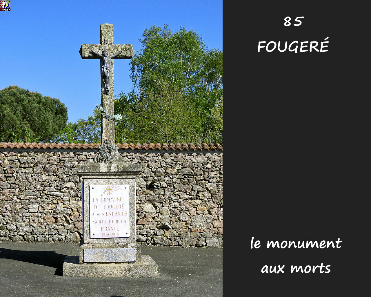 85FOUGERE_morts_1000.jpg