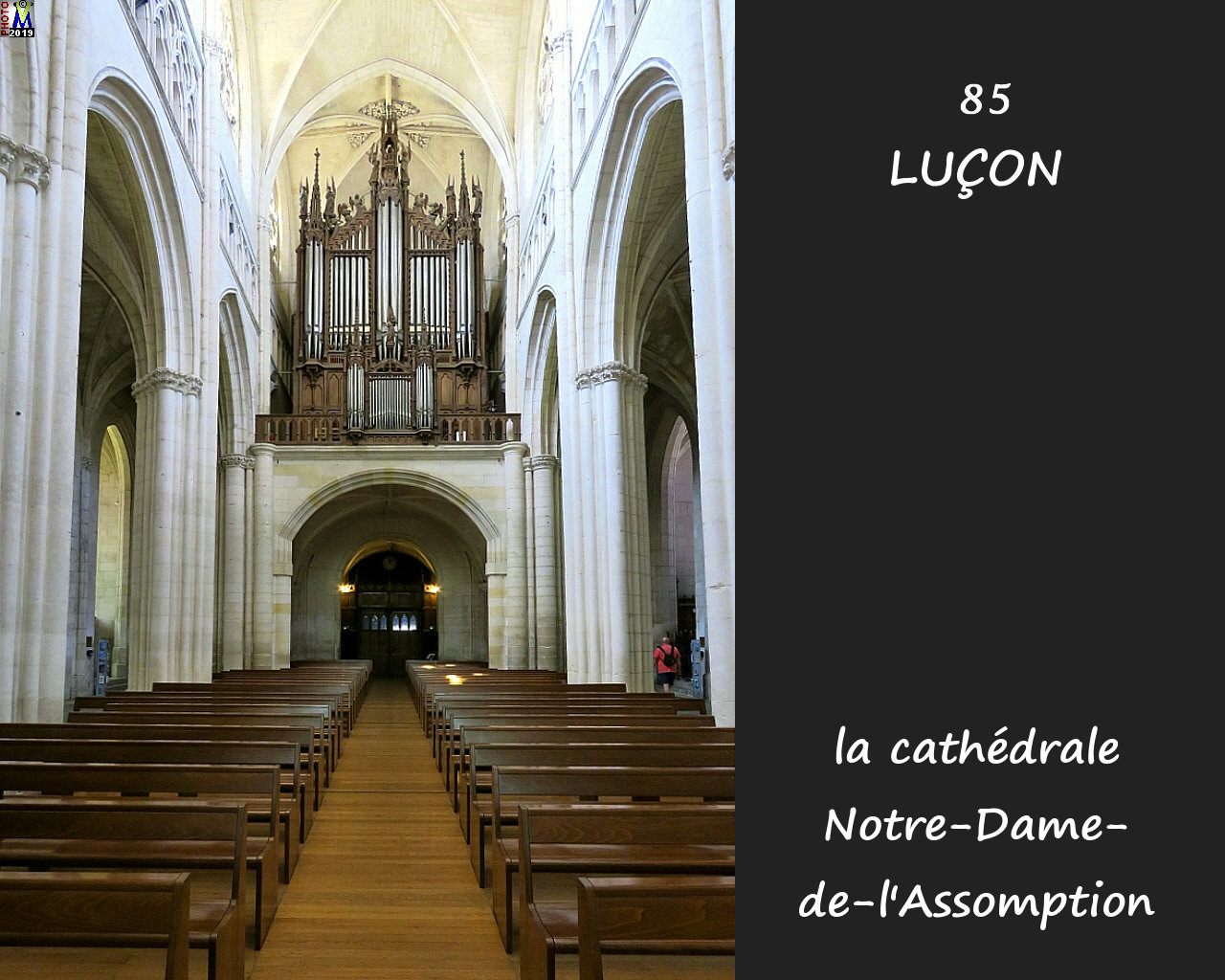 85LUCON_cathedrale_204.jpg