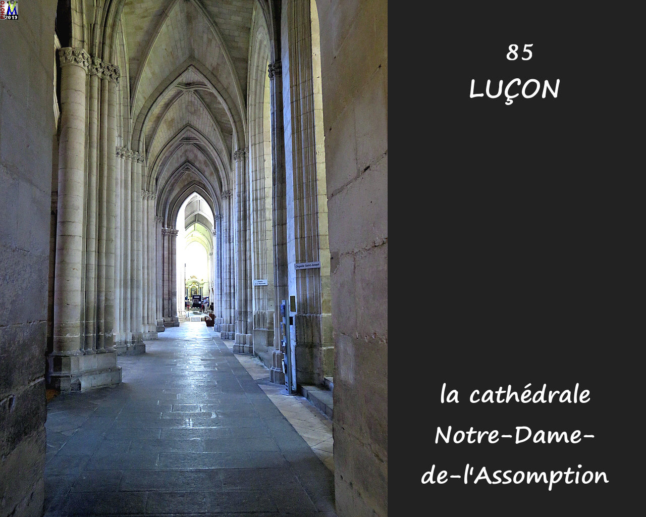85LUCON_cathedrale_206.jpg