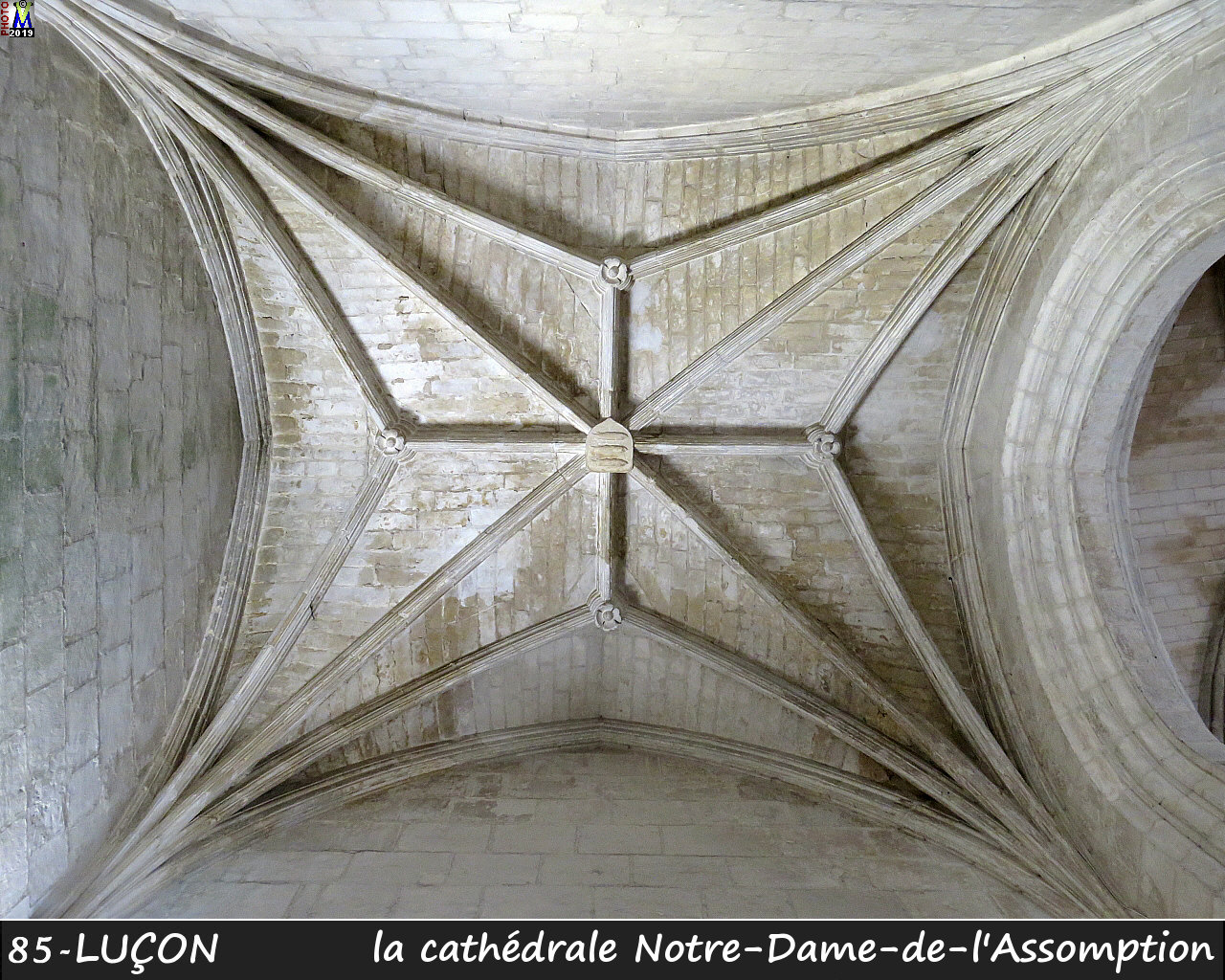 85LUCON_cathedrale_214.jpg