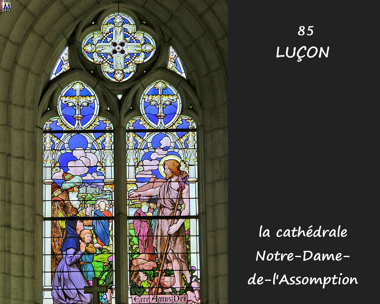 85LUCON_cathedrale_230.jpg
