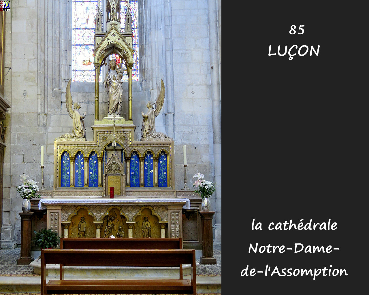 85LUCON_cathedrale_274.jpg