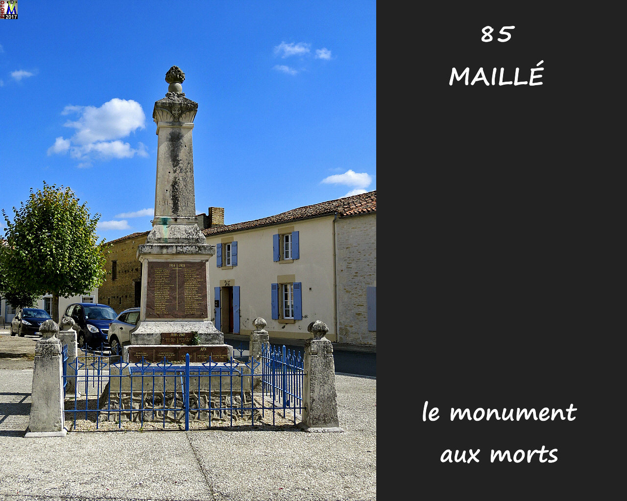 85MAILLE_morts_1000.jpg