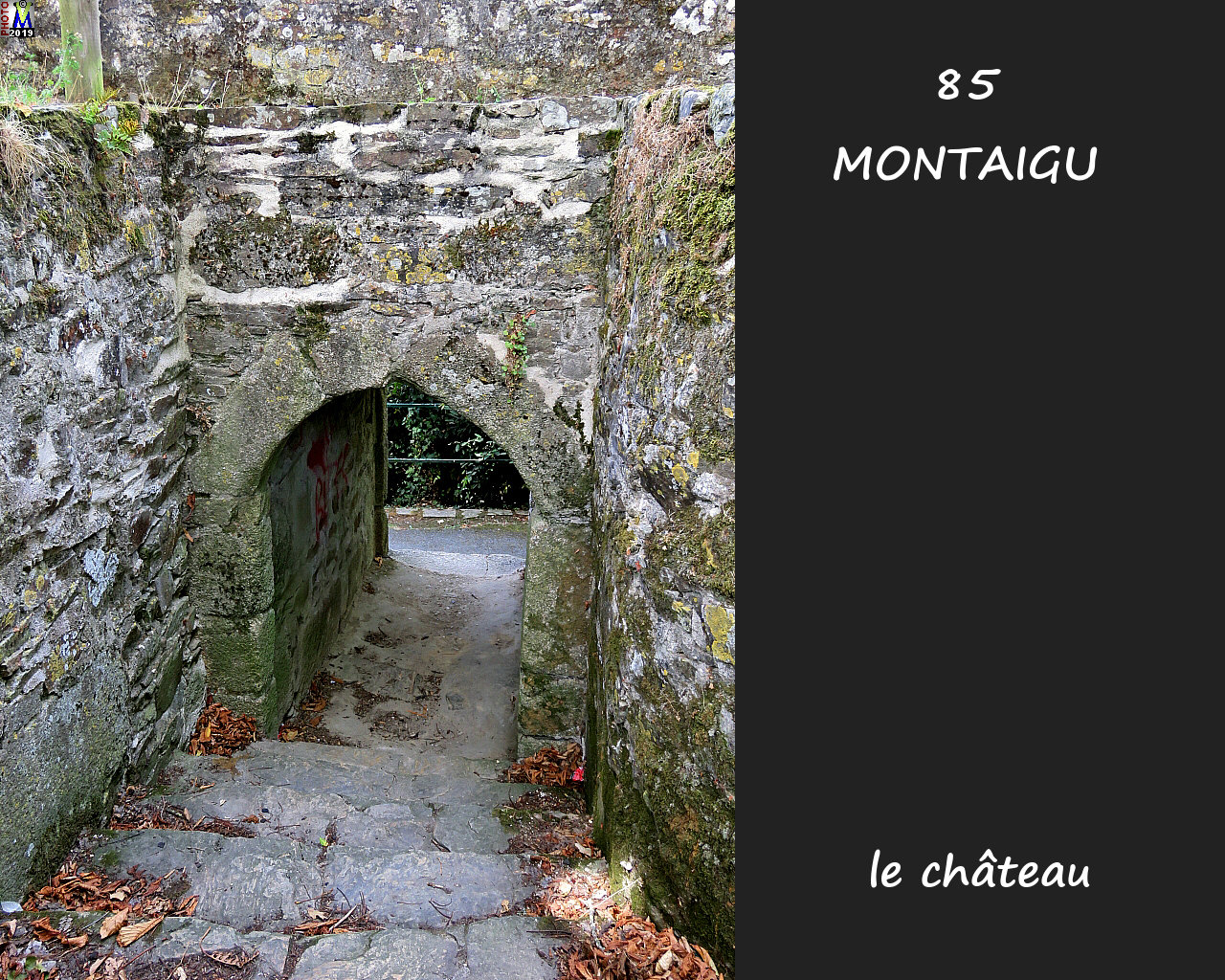 85MONTAIGU_chateau_1062.jpg