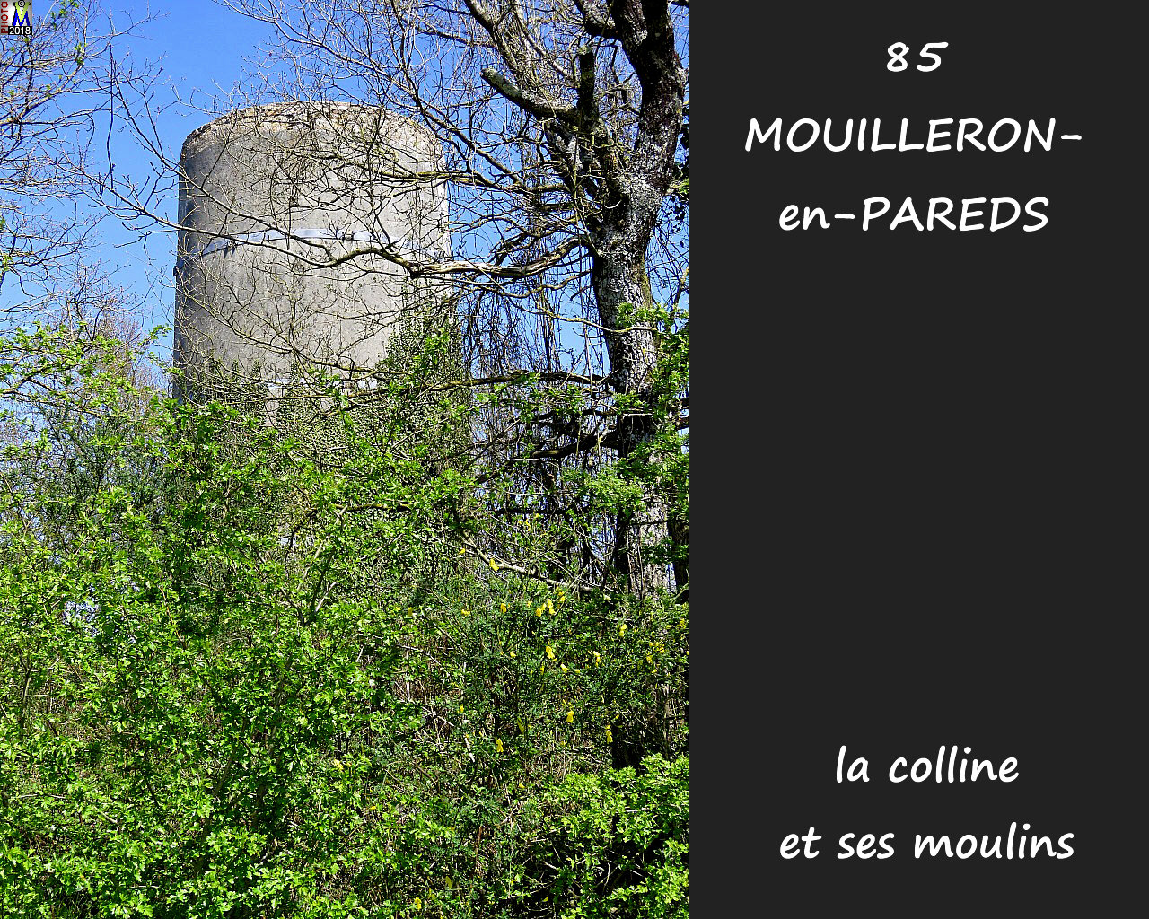 85MOUILLERON-PAREDS_moulins_1034.jpg