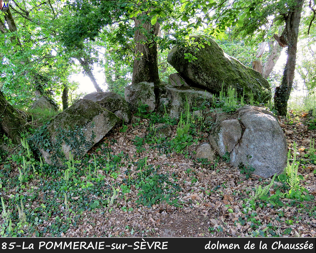 85POMMERAIE-SEVRE_dolmen_1004.jpg