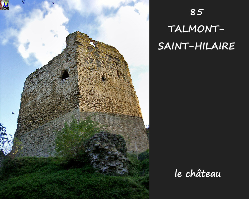 85TALMONT-StHILAIRE_chateau_110.jpg