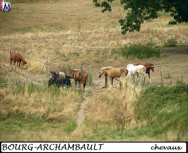 86BOURG-ARCHAMBAULT_chevaux_100.jpg