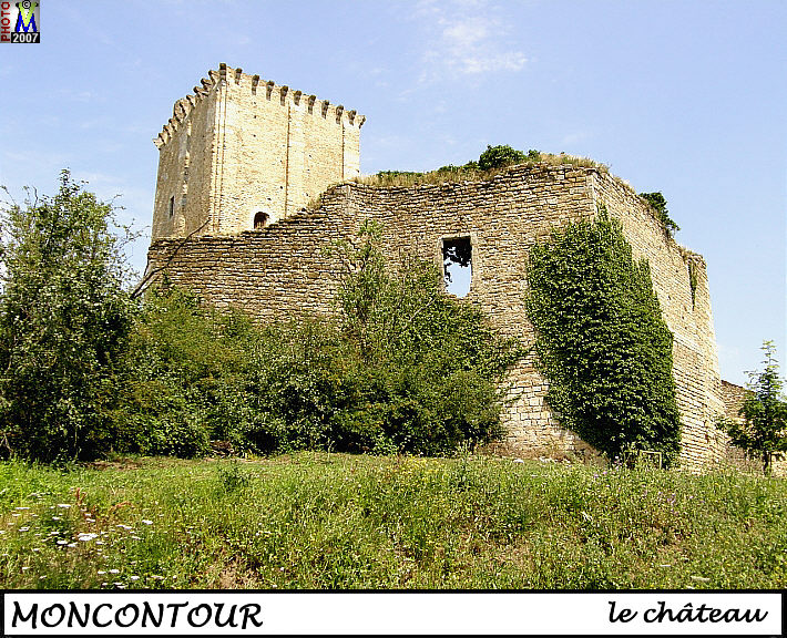86MONCONTOUR_chateau_102.jpg