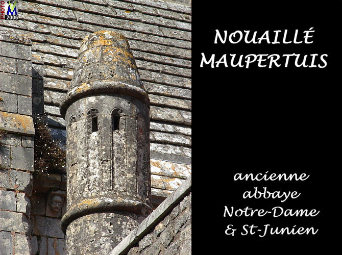 86NOUAILLE-MAUPERTUIS abbaye 142.jpg