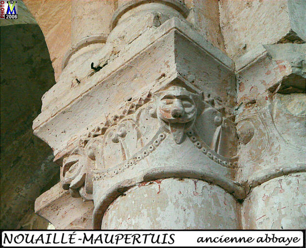 86NOUAILLE-MAUPERTUIS abbaye 210.jpg